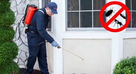 Sarıyahşi Kene İlaçlama böcek ilaçlama ve haşere kontrolü — ilaclama-tr.com